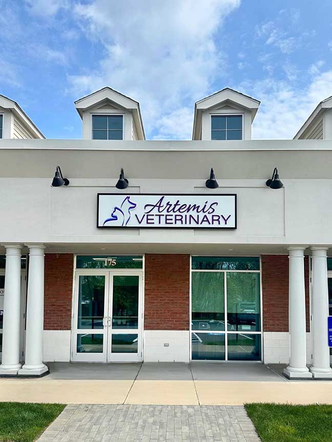 Artemis Veterinary, Northborough, MA